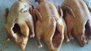 Индоутки или голубой фаворит какие утки лучшие//во сколько обходится содержание одной индоутки