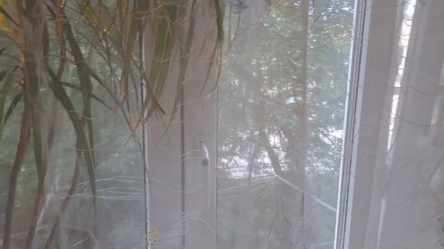 2 х комнатная квартира Дубки смотреть онлайн