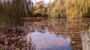 Краснодарский край, Апшеронский район, Нефтегорское городское поселение