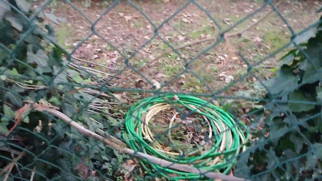 arche de la nature, красивая природа где я живу смотреть онлайн