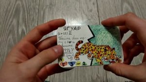 Самодельная ККИ Эвутация/5 выпуск карточной игры