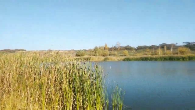 5 октября 2023 г.г.Омск карась в октябре waggler скользящая оснастка. смотреть онлайн