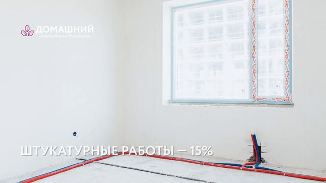 Домашний, август 2022