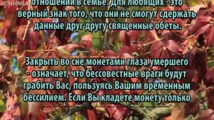 К чему снится Труп сонник, толкование сна