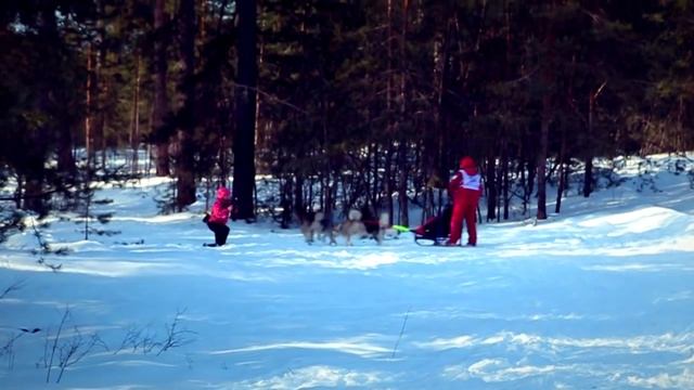 "Зимняя сказка-2014" Первый день... смотреть онлайн