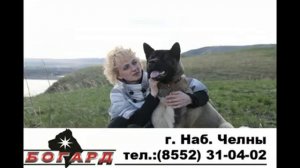 Дрессировка собак в Азнакаево