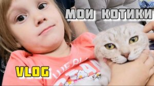 МИНИ РАСПАКОВКИ Мои Котики VLOG Семейный канал ВЛОГ.