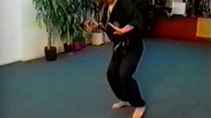 Школа Тигра. Движение тигра. Ч 5