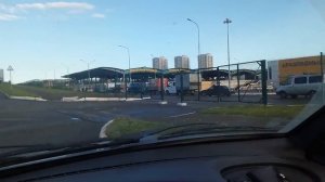 Куры породы Адлерская серебристая