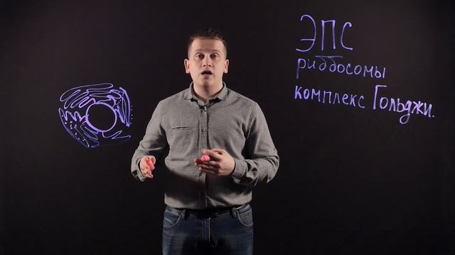 БИОЛОГИЯ 9 класс. ЭПС. Рибосомы. Комплекс Гольджи смотреть онлайн