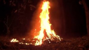 ? #Костер. Живой огонь.  Звуки ночного леса у костра