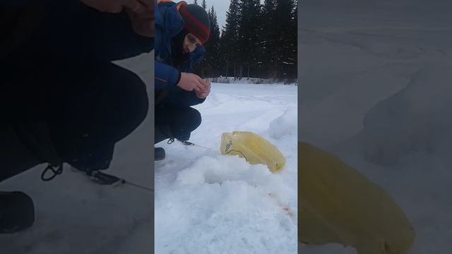 Рыбалка на тутуре!