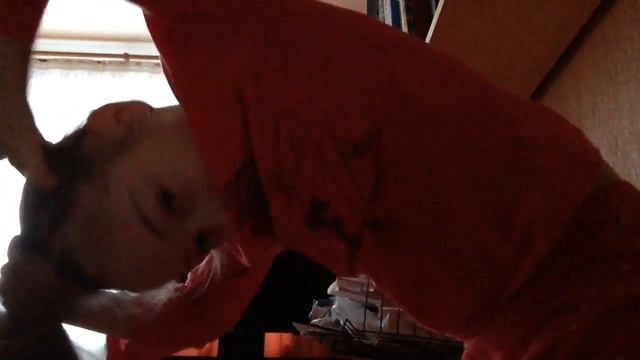 Как зделать пальму на голове смотреть онлайн