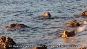 Как правильно вести себя в грозу