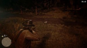 Opossum Playing Possum Red Dead Redemption 2