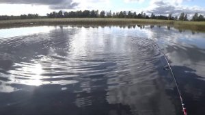 Ловля щуки спиннингом на вертушку!!!