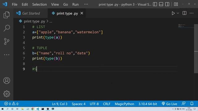How to Print Type of Variable in Python