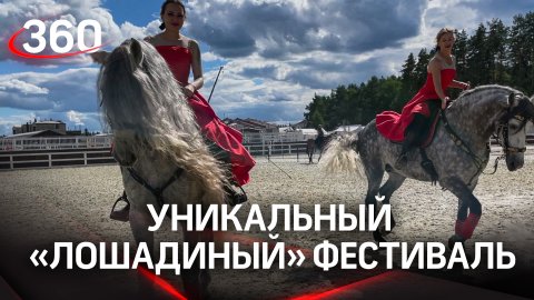 Иваново поле - рай любителей лошадей