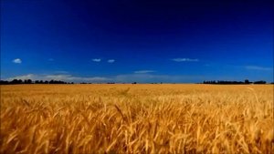 А можно,  РОССИЯ,  остаться с тобой?   А. Днепров -  композитор и поэт- песенник.