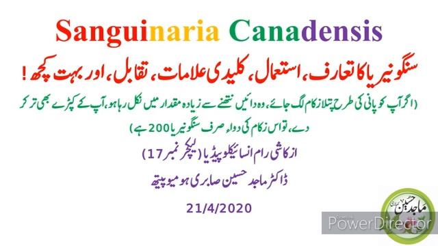 Sanguinaria Canadensis Homeopathic Medicine in Hindi (Lecture 17), #37acutemedicine смотреть онлайн