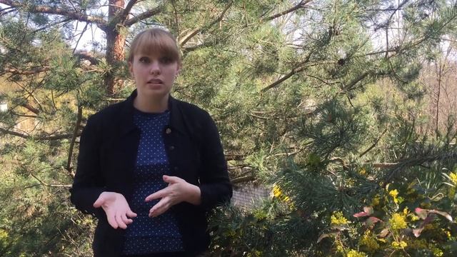 Немедикаментозная профилактика цистита смотреть онлайн