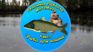 Квест "Рыба для кошки" [NEW] | Реальная Рыбалка