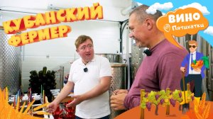 Как развивать свою винодельню? Производство вина на примере кубанского фермера