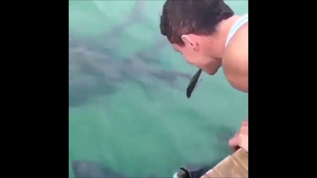 Юморные ролики Ржач