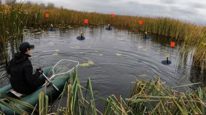 Расставил летние жерлицы в камышах.. И был в ШОКЕ! ЖОР в мае 2024!