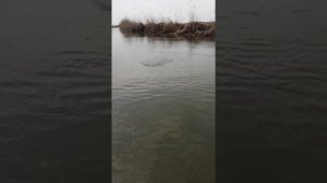 Рыбалка в Астрахани база Капитан