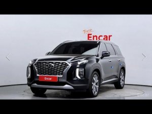 Осмотрели для клиента Хендай Палисад(Hyundai Palisade), забраковали.