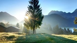 Красивая Музыка...       (Сергей Грищук)