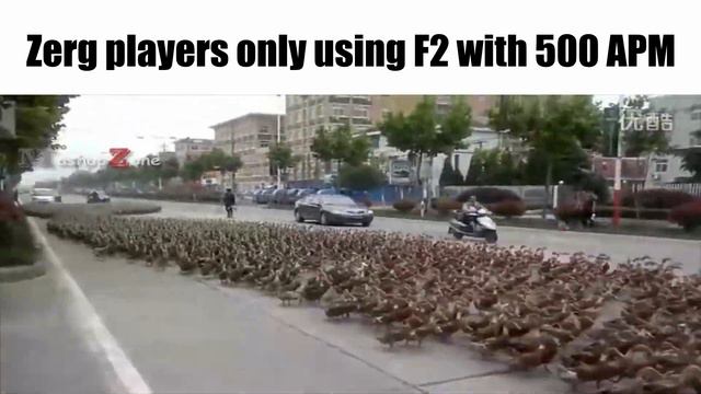 StarCraft Slander смотреть онлайн