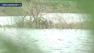В Александровском районе жители рассорились из-за пруда