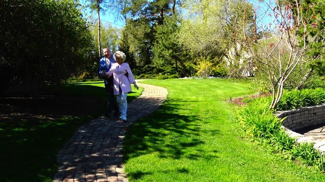 Бабочка и пчела-Волгин Юрий смотреть онлайн