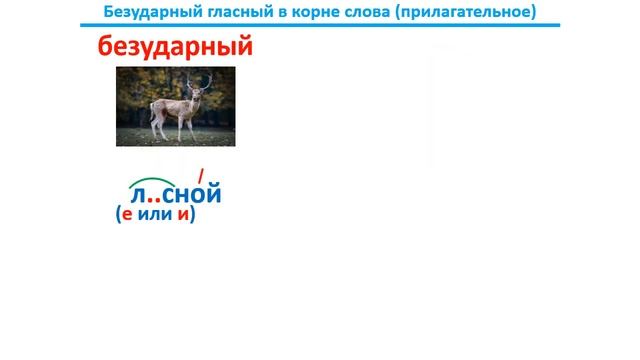 Урок. Ударный и Безударный гласный в корне слова. Русский язык 2 класс. #учусьсам