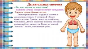 Природоведение 3 класс. Организм человека.