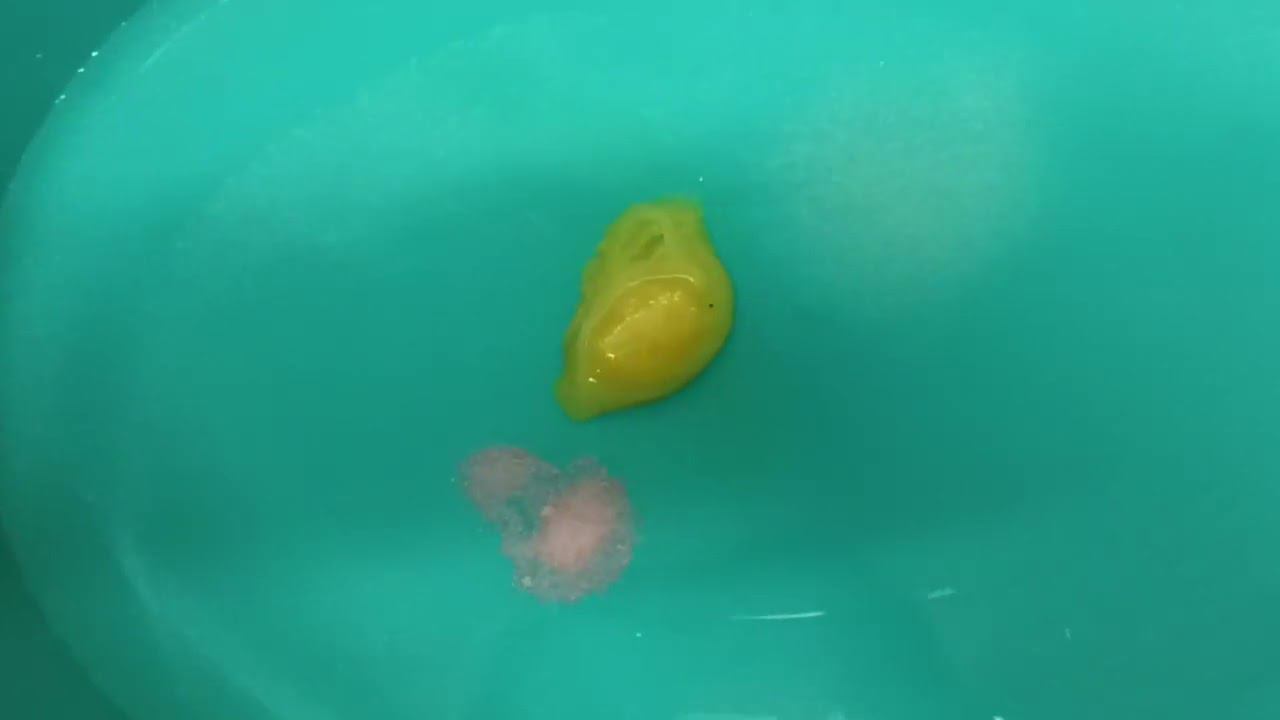 Рецепт от Гречишниковой приготовления субстрата для выращивания биопрепаратов смотреть онлайн