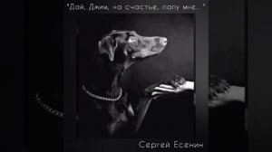 Дай, Джим, на счастье лапу мне...