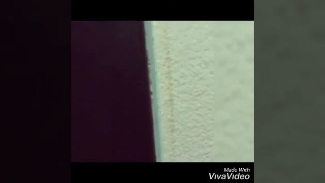 Поздравление для любимой жены смотреть онлайн