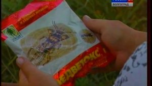 Вредители и методы борьбы с ними. Хлопковая совка,медведка.