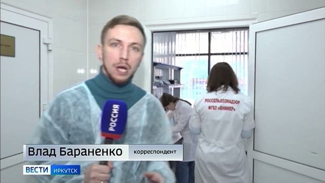 Табачную белокрылку и западный цветочный трипс ищут в цветах сотрудники Россельхознадзора в Иркутске