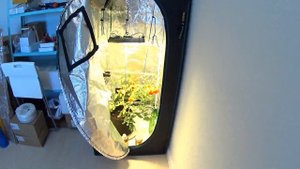 Свет для гроубокса. Led освещение для растений.
