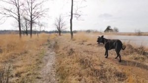 Марина Сахаровская "Марш оптимистов"