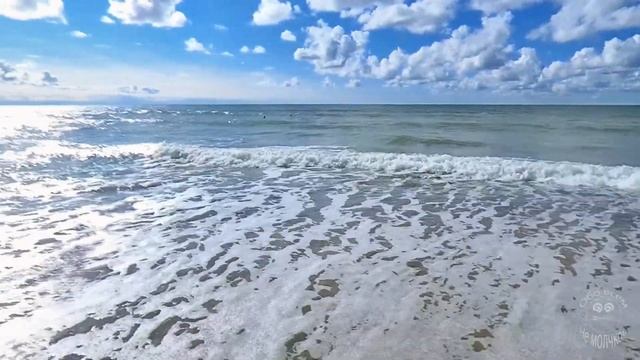 Купание девушки в холодном Балтийском море смотреть онлайн