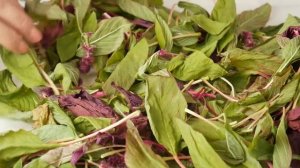 Защищает от РАКА и СТАРЕНИЯ. Полезный напиток в виде чая из амаранта.