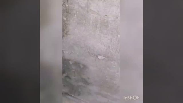 Часть 1.Туалет .ремонт как убрать краску со стен . смотреть онлайн