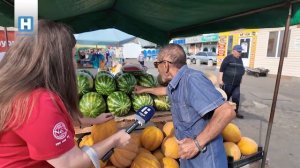 Рекомендации о приобретении арбузов и дынь