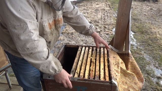 Супер топливо для дымаря. Обжиг улья, вред или польза? смотреть онлайн