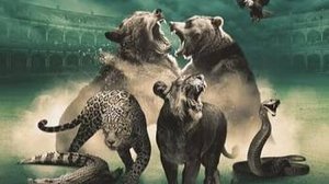3 Гладиаторы   Река в джунглях / Jungle River